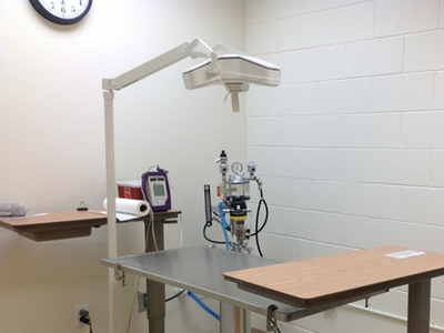 Surgery Suite
